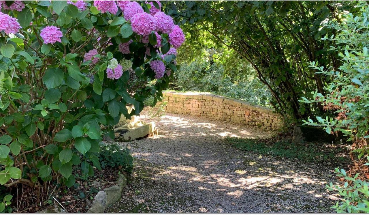 Mazette! Le Chateau Niort Kültér fotó