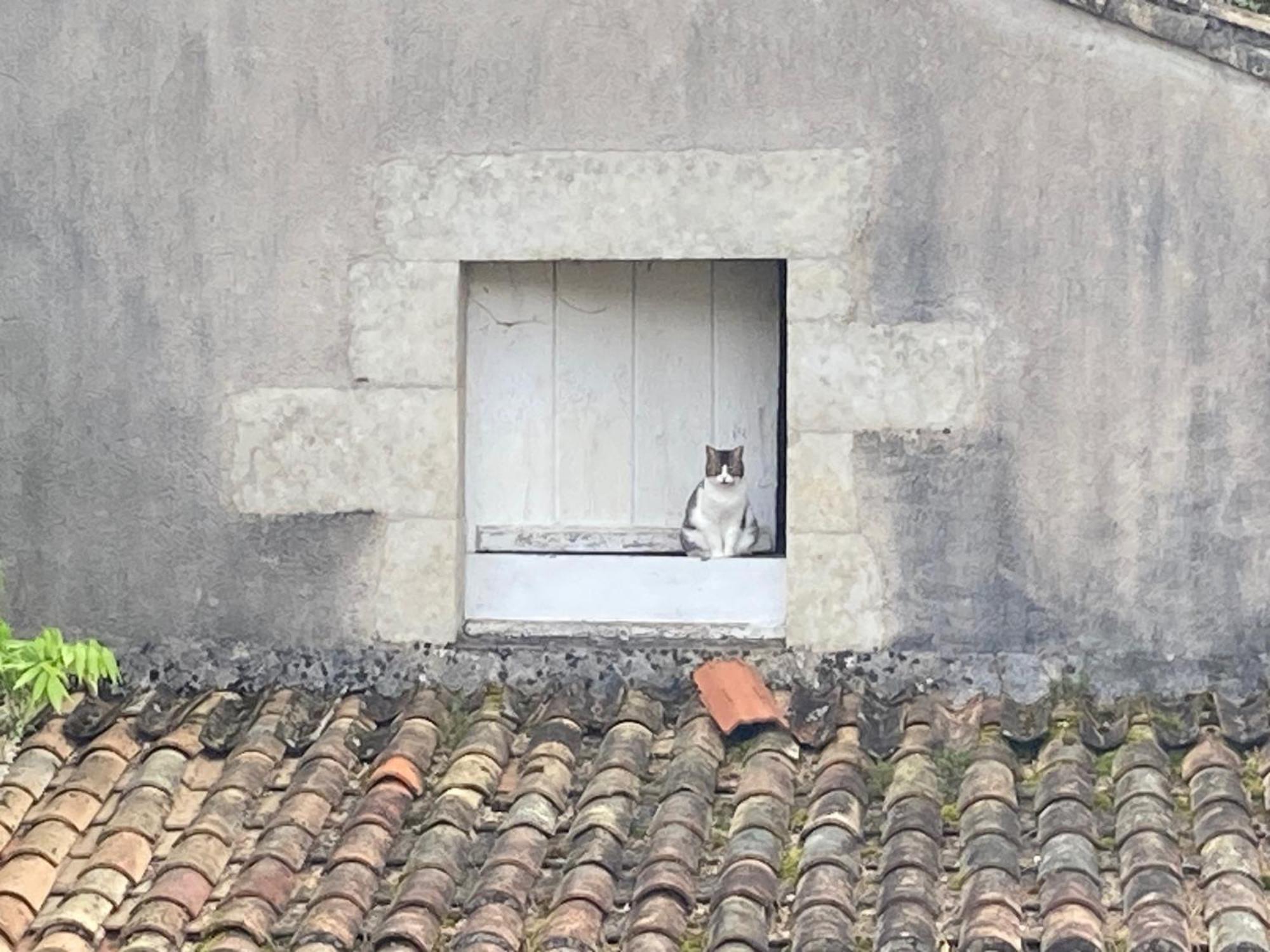 Mazette! Le Chateau Niort Kültér fotó